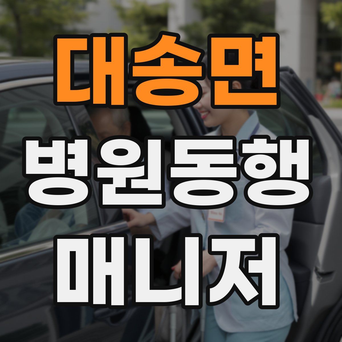 대송면 병원동행매니저 자격증