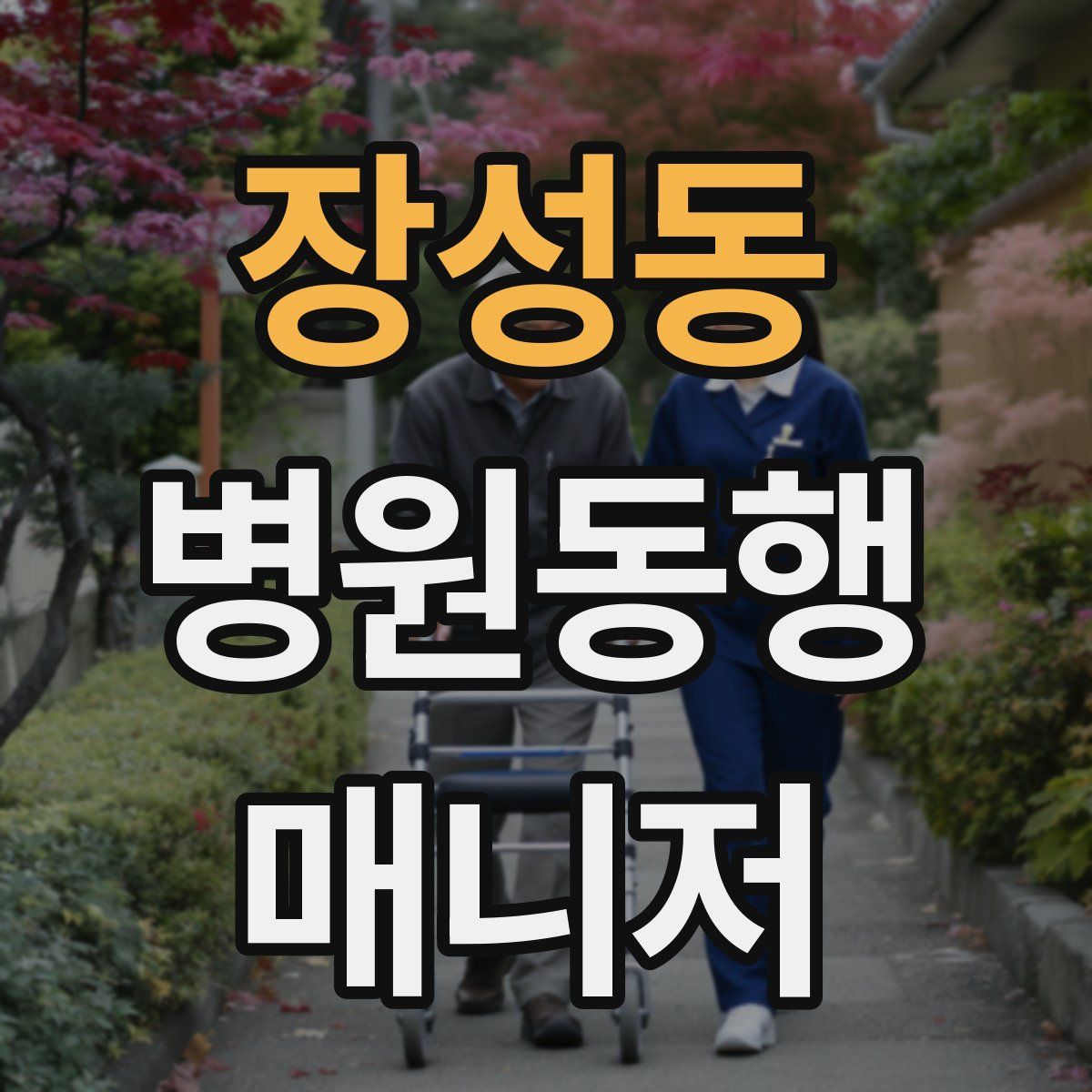 장성동 병원동행매니저 자격증