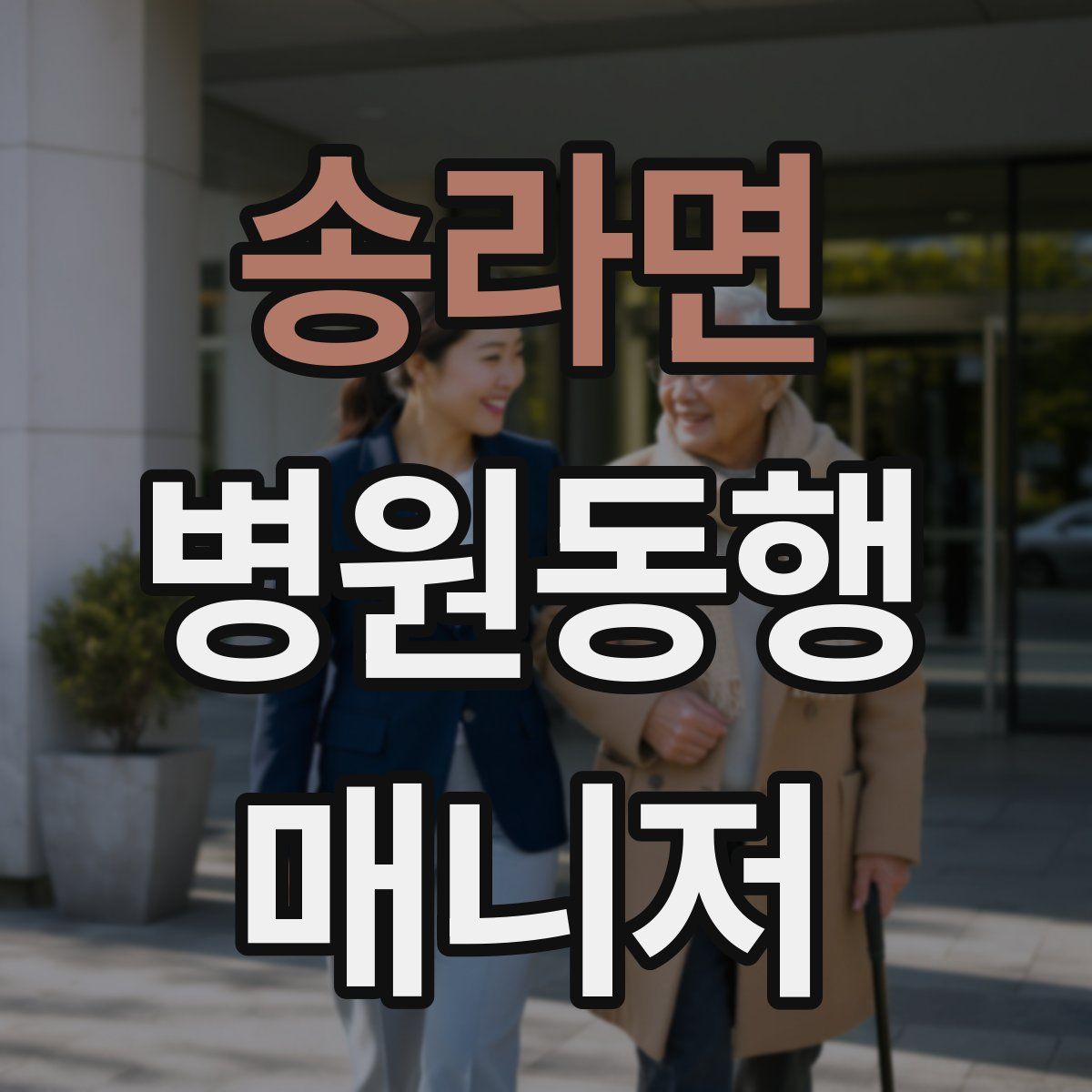 송라면 병원동행매니저 자격증