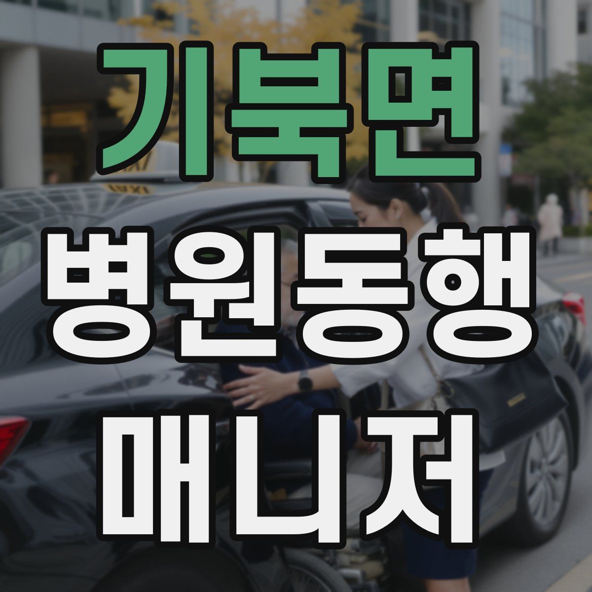기북면 병원동행매니저 자격증