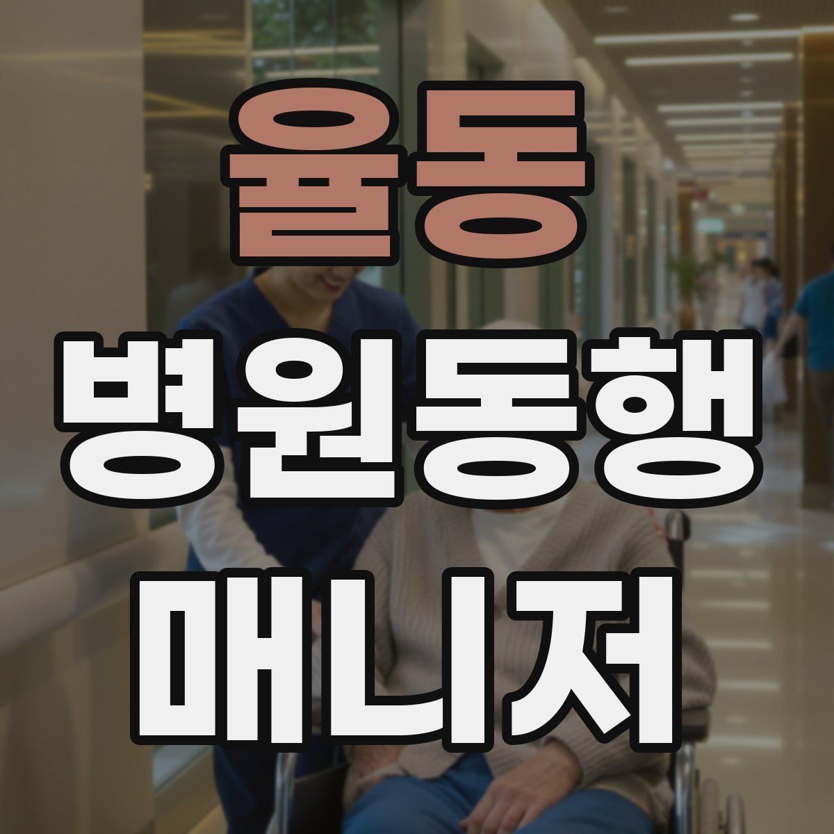 율동 병원동행매니저 자격증
