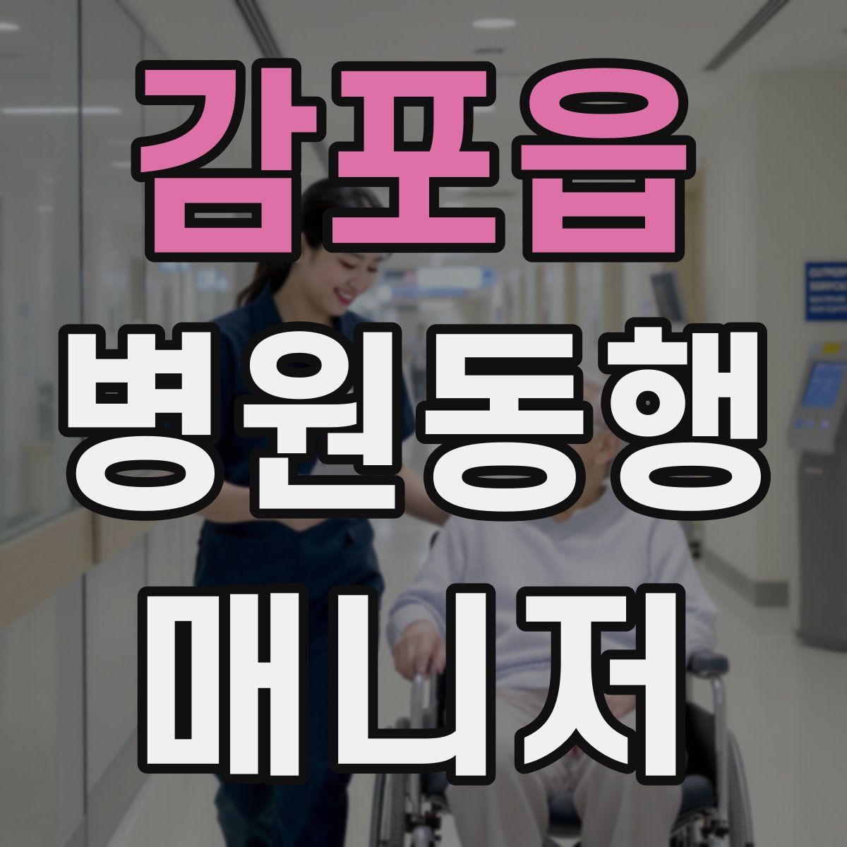 감포읍 병원동행매니저 자격증