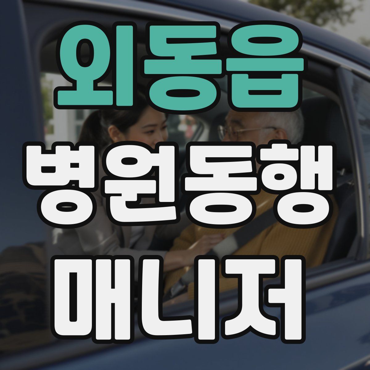 외동읍 병원동행매니저 자격증