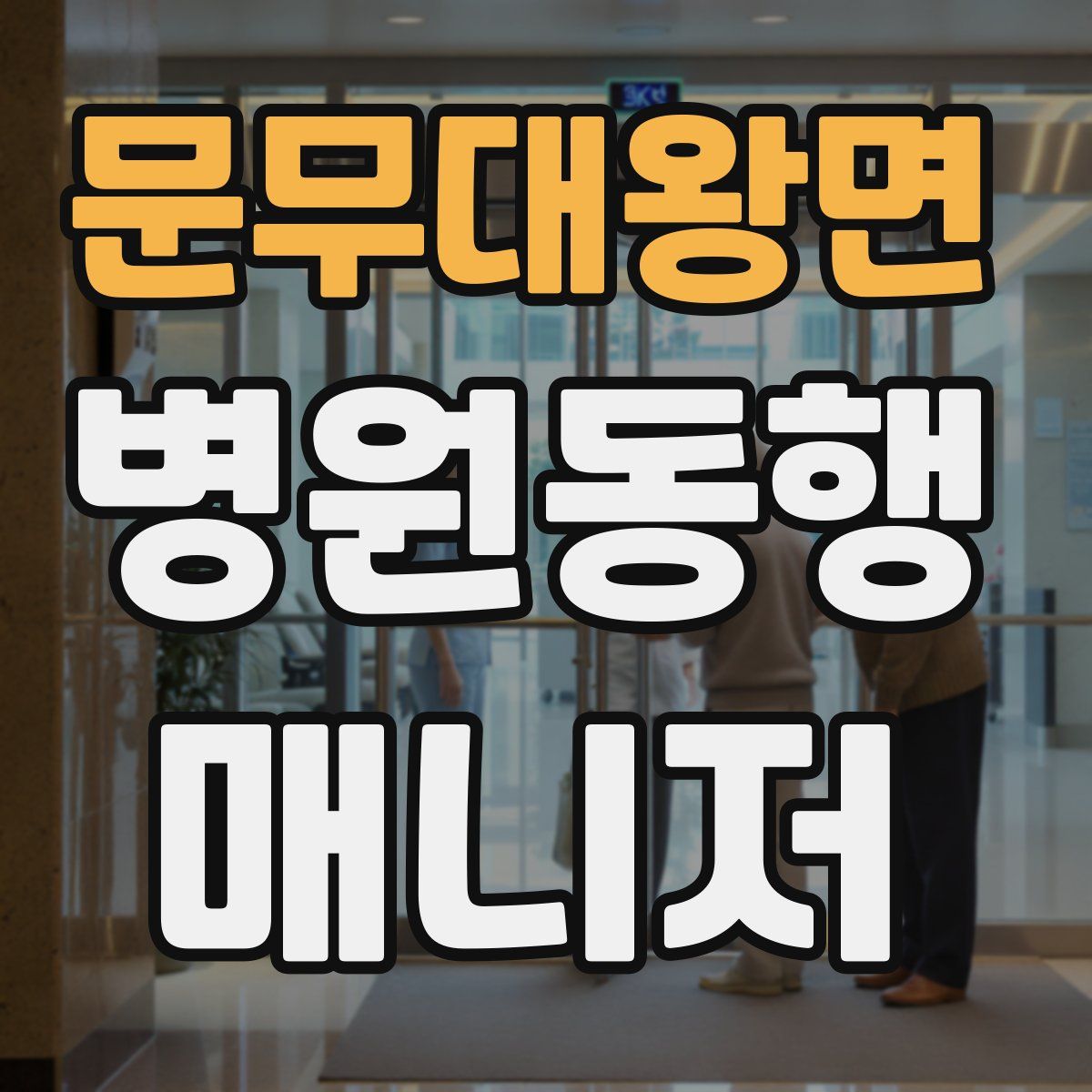 문무대왕면 병원동행매니저 자격증