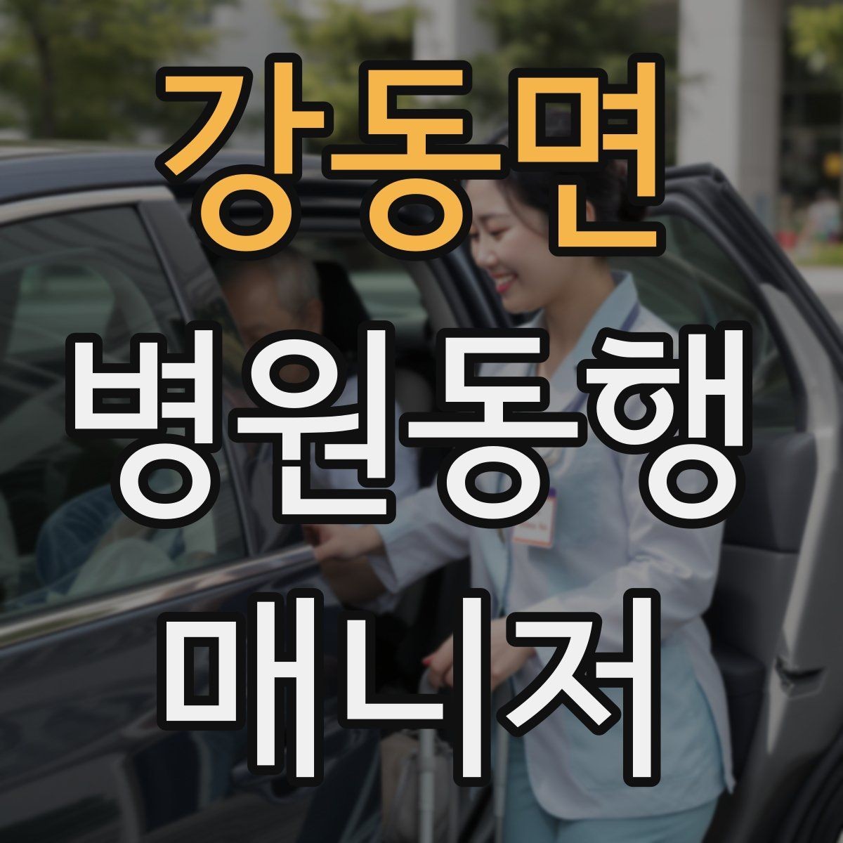 강동면 병원동행매니저 자격증 할 수 있는 일과 하면 안 되는 일 정리