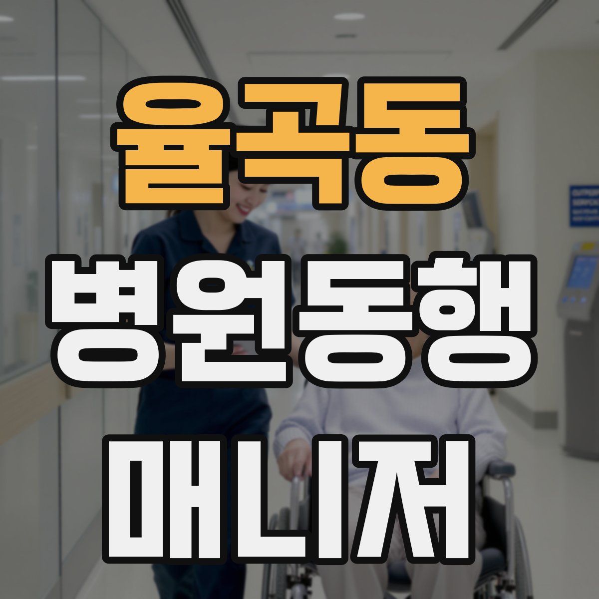 율곡동 병원동행매니저 자격증