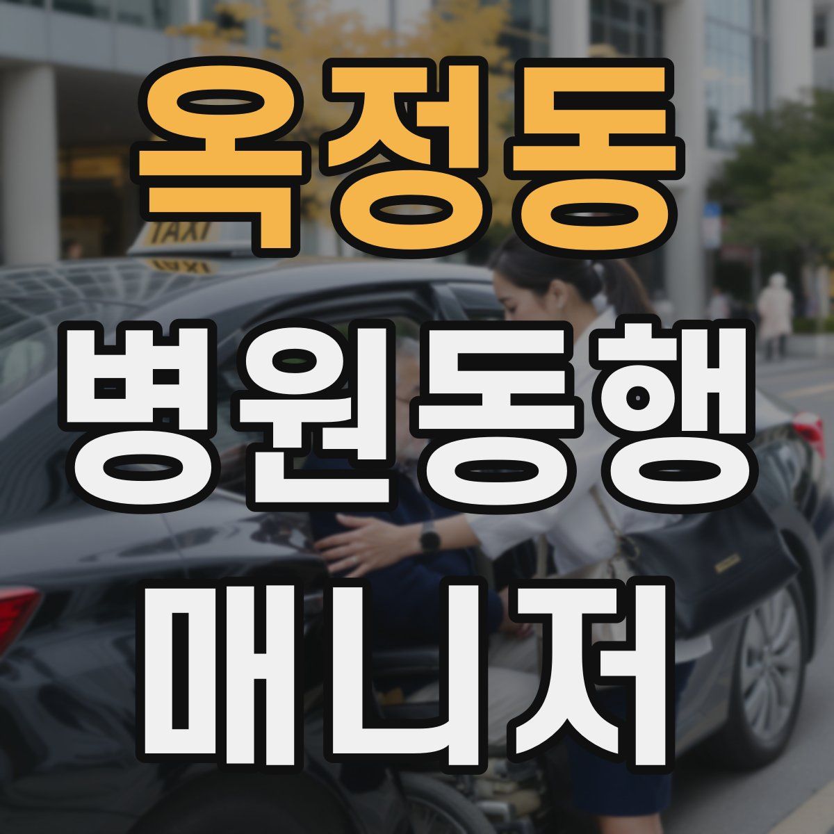 옥정동 병원동행매니저 자격증