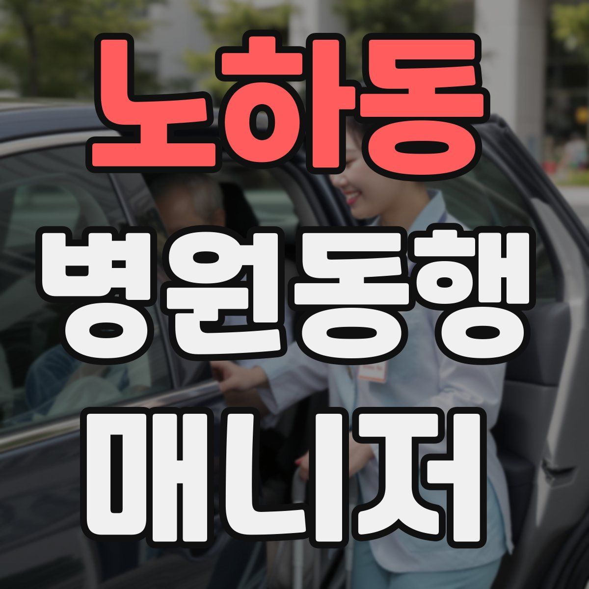 노하동 병원동행매니저 자격증