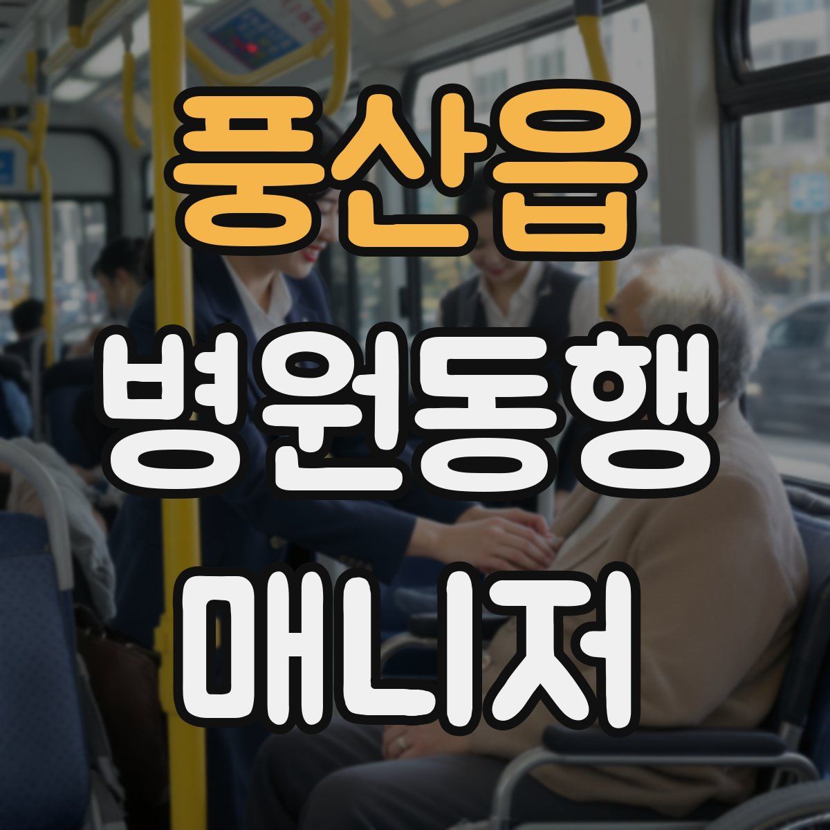 풍산읍 병원동행매니저 자격증