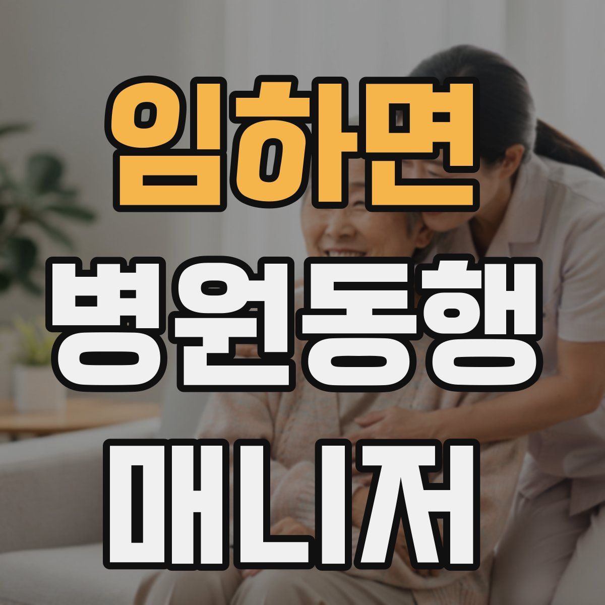 임하면 병원동행매니저 자격증