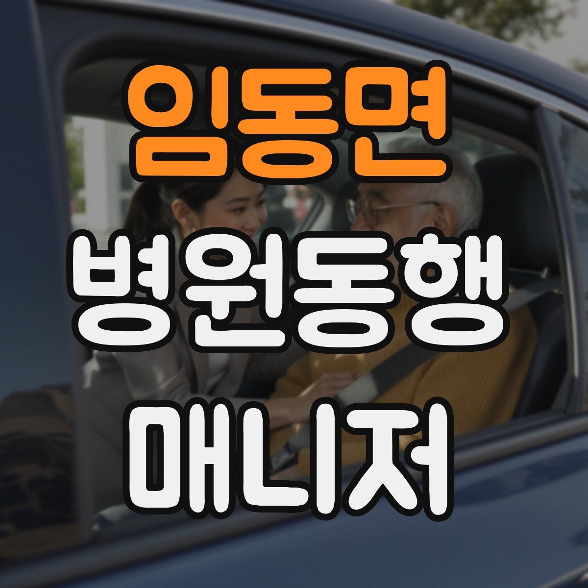 임동면 병원동행매니저 자격증