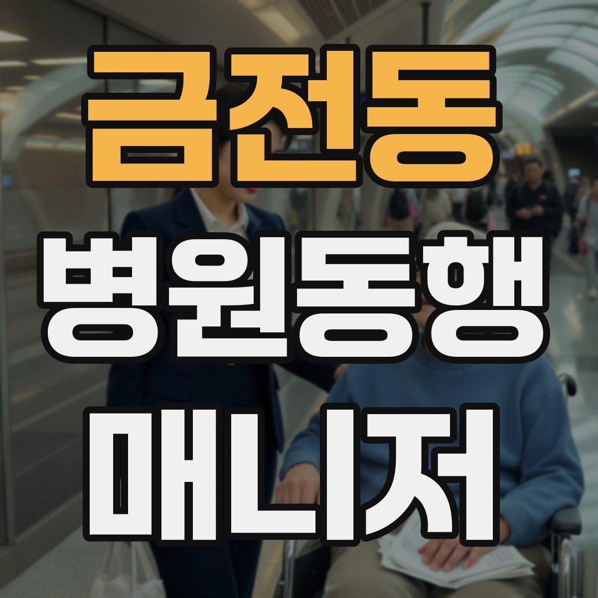 금전동 병원동행매니저 자격증