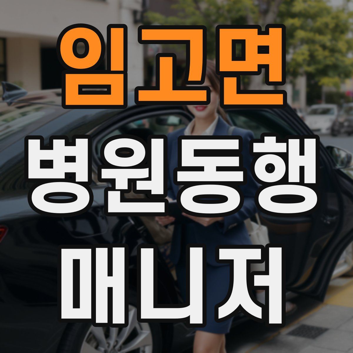 임고면 병원동행매니저 자격증