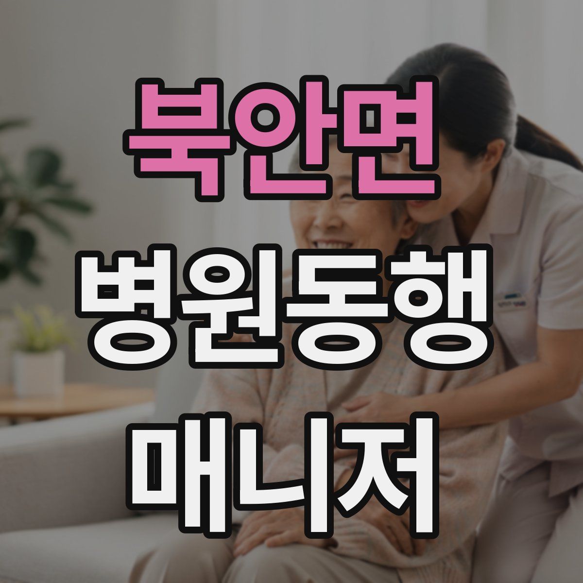북안면 병원동행매니저 자격증
