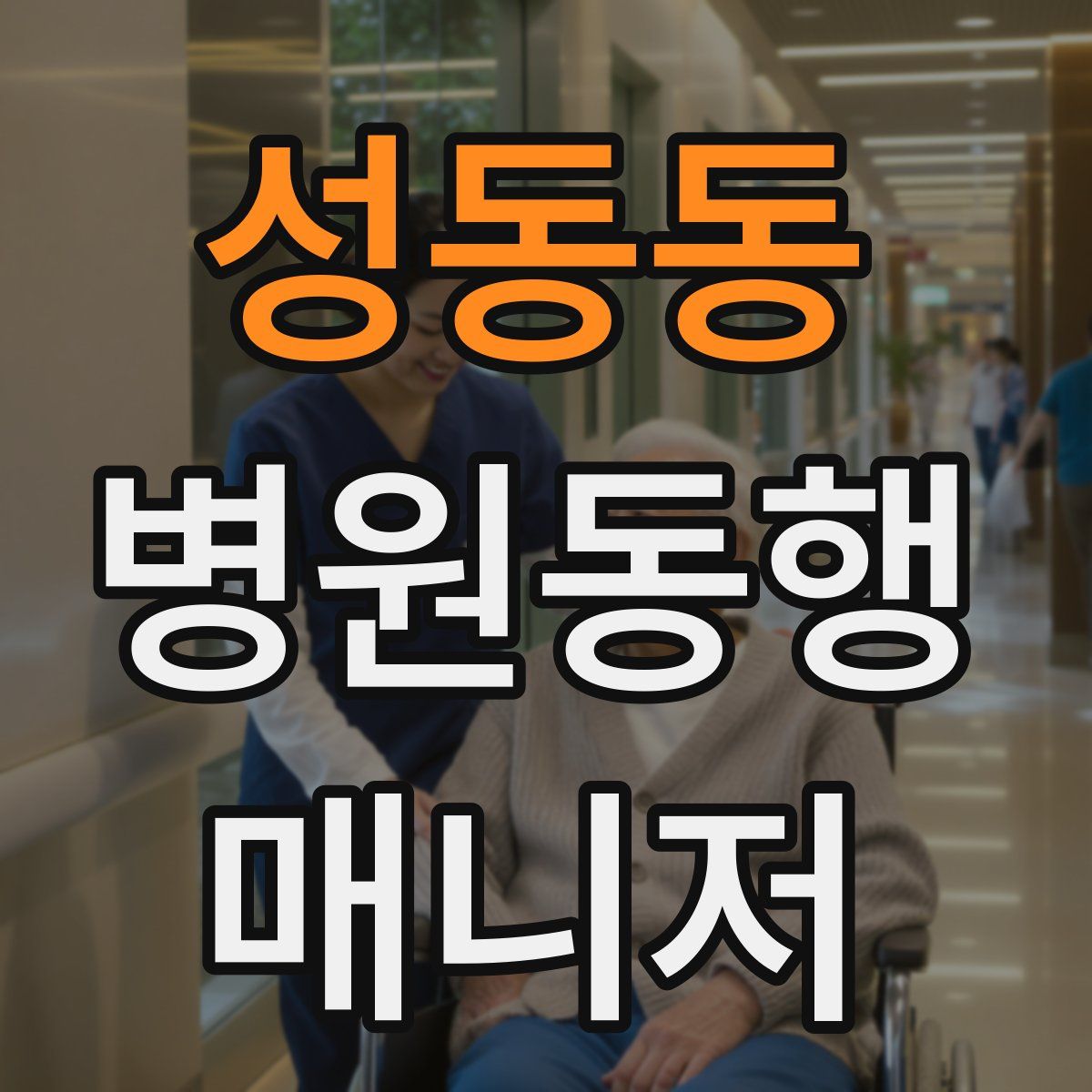 성동동 병원동행매니저 자격증