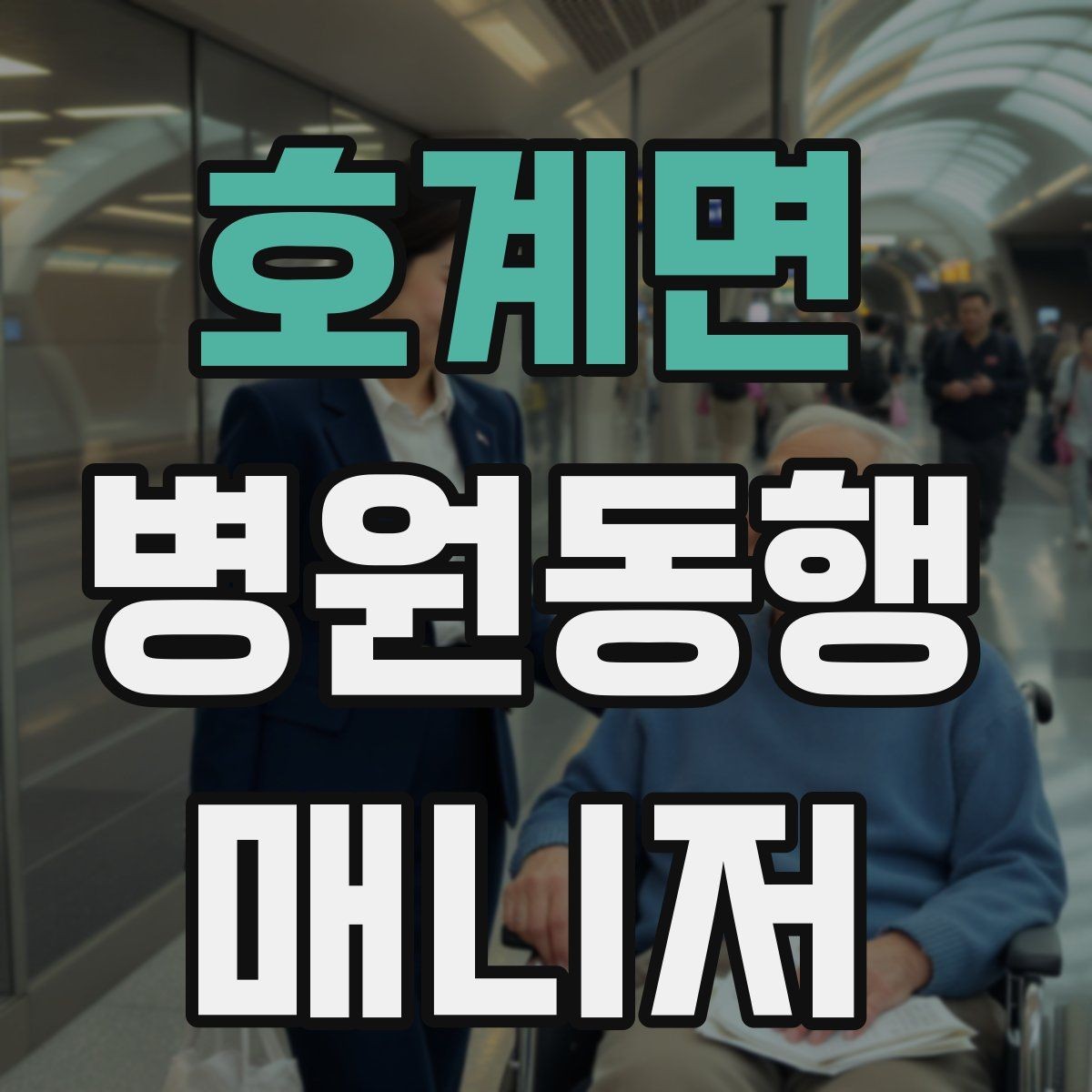 호계면 병원동행매니저 자격증 취득 후 활동을 시작하는 순서