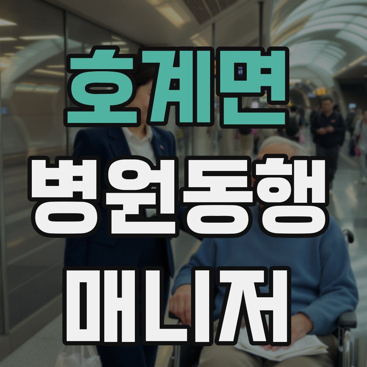 호계면 병원동행매니저 자격증