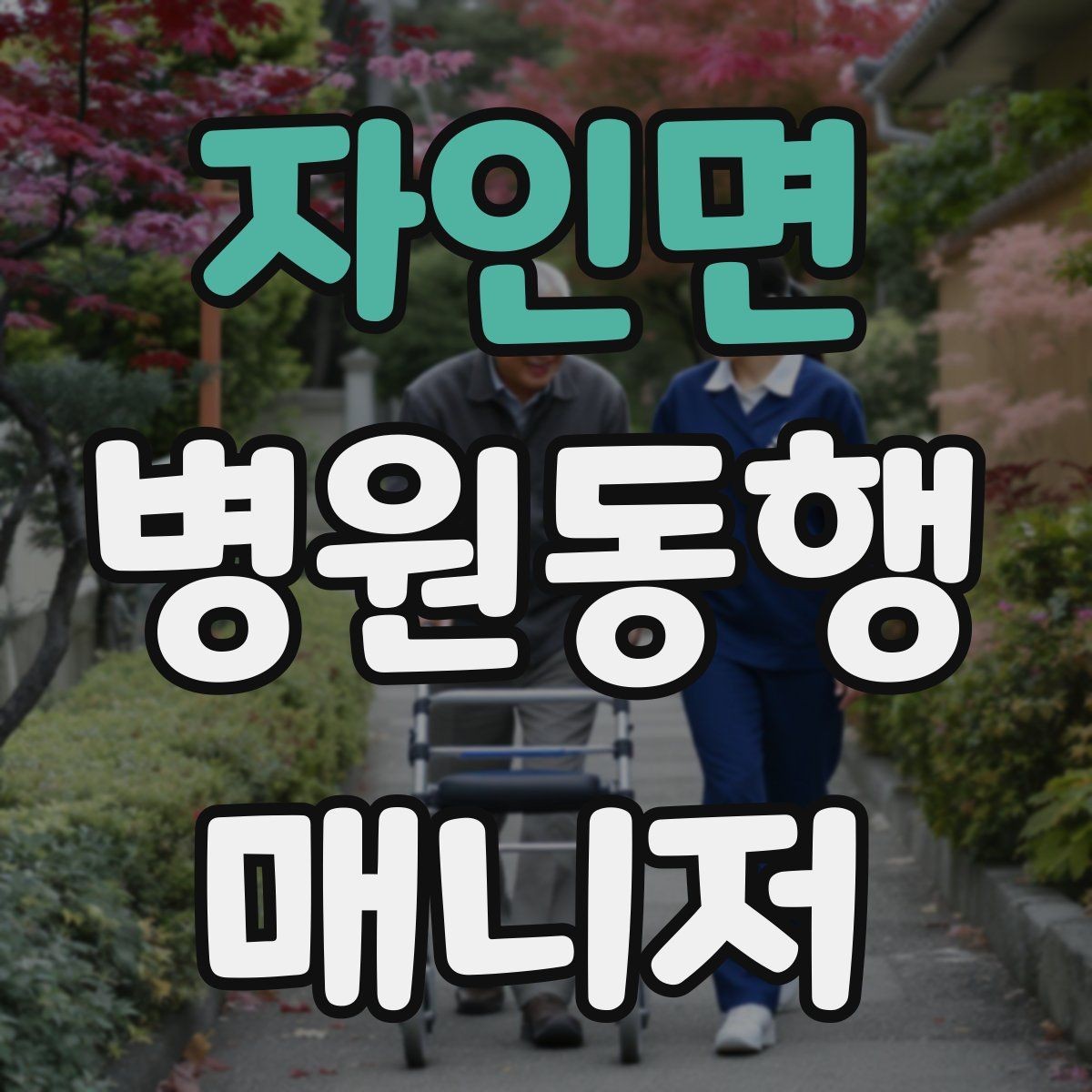 자인면 병원동행매니저 자격증 자차 동행이 포함될 때 주의사항