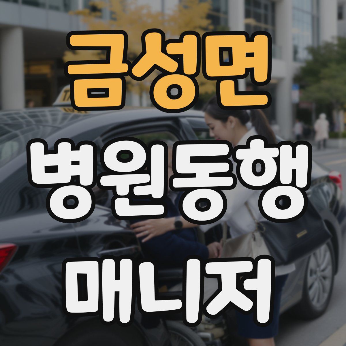 금성면 병원동행매니저 자격증