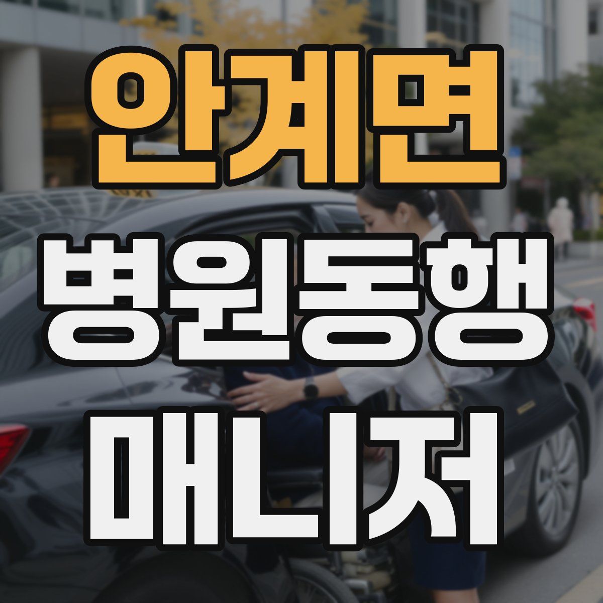 안계면 병원동행매니저 자격증