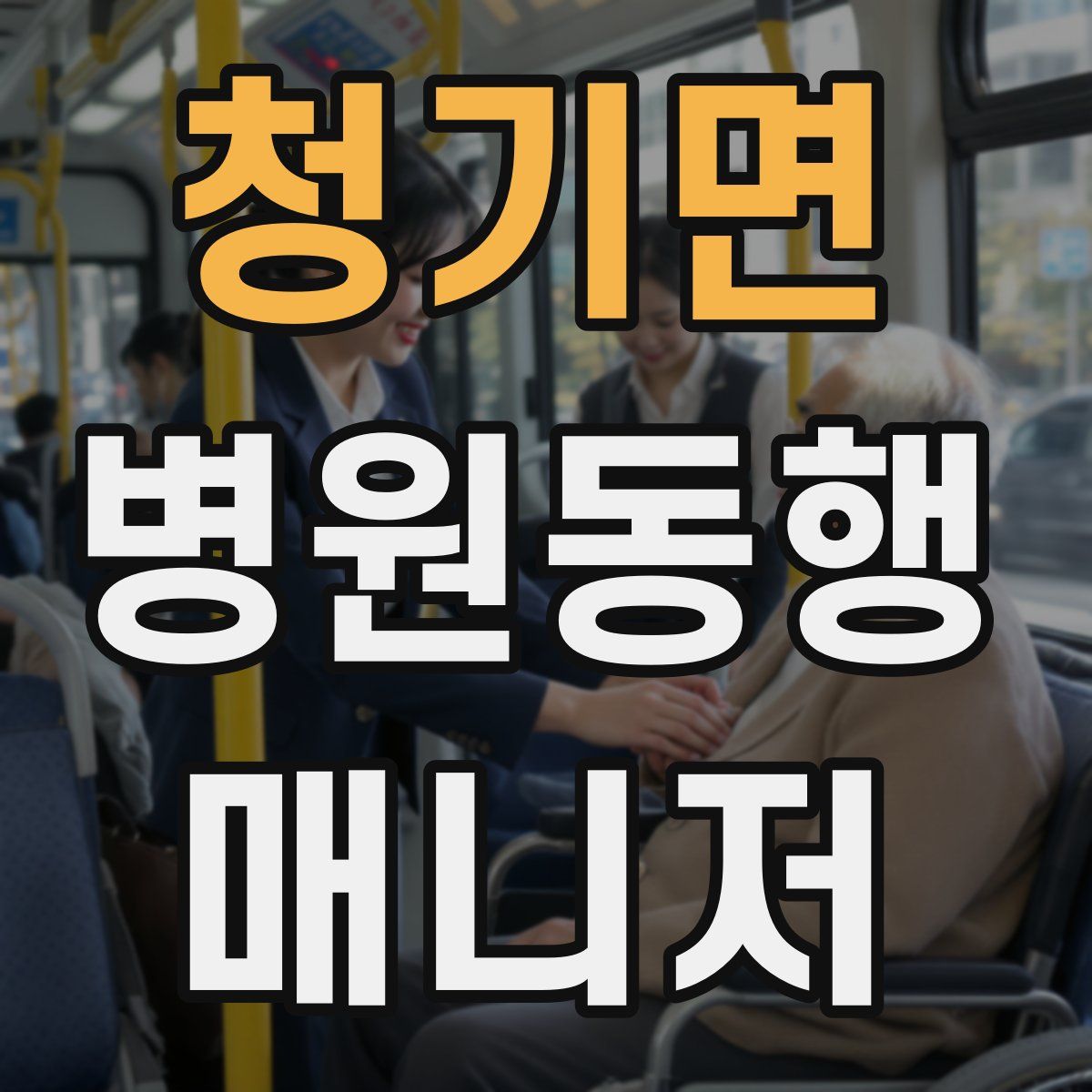 청기면 병원동행매니저 자격증