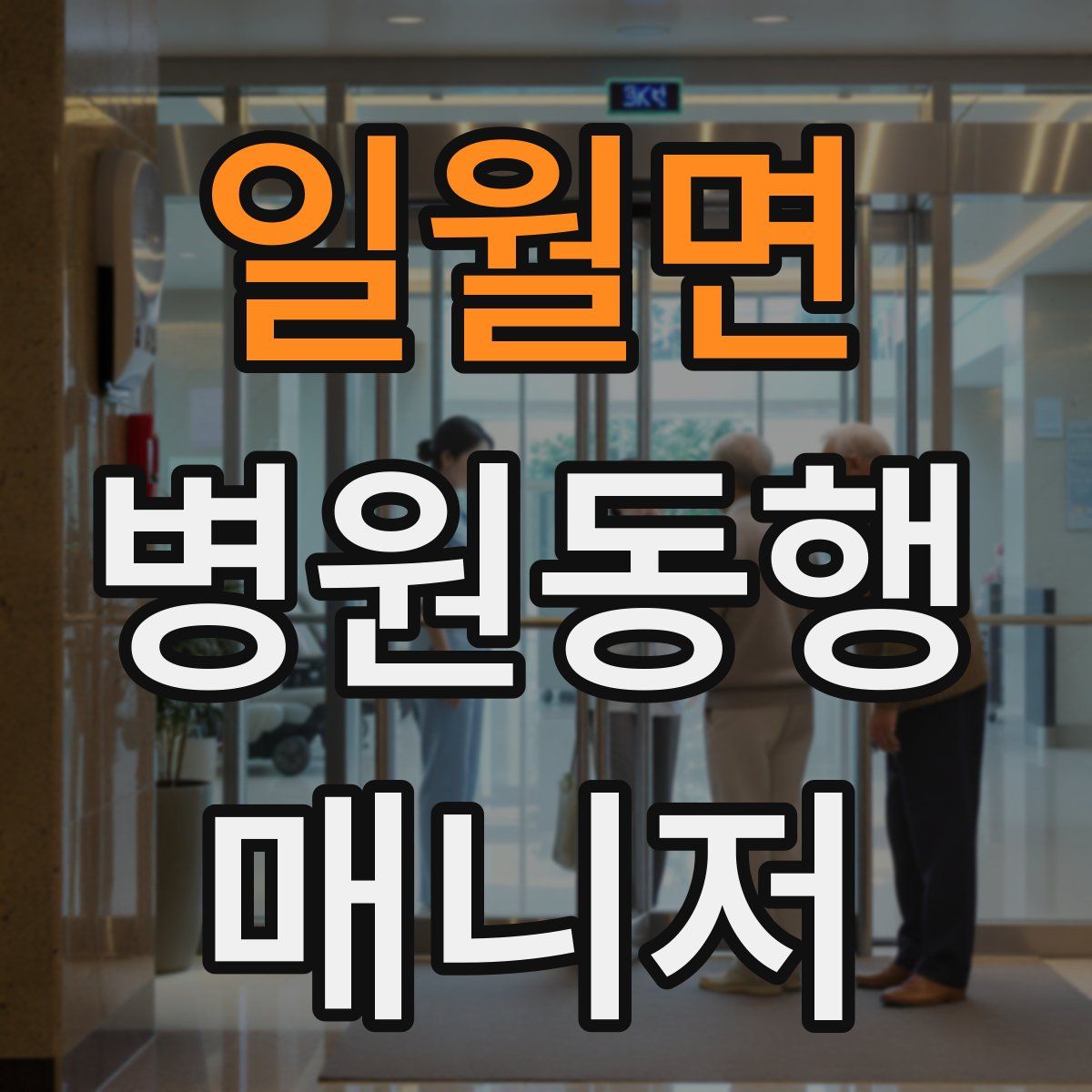 일월면 병원동행매니저 자격증