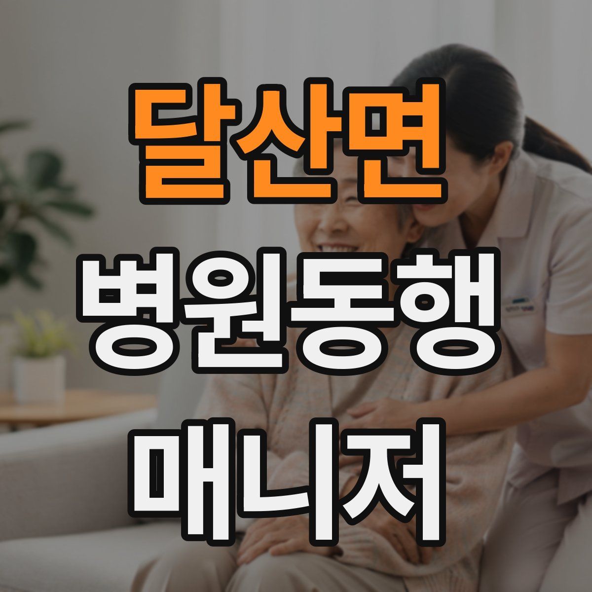 달산면 병원동행매니저 자격증