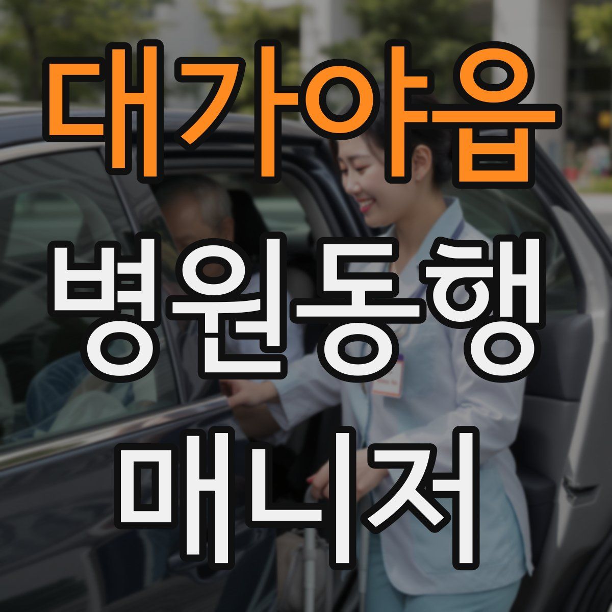 대가야읍 병원동행매니저 자격증