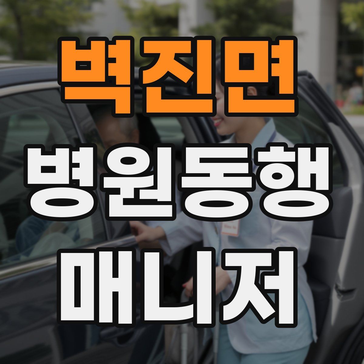 벽진면 병원동행매니저 자격증