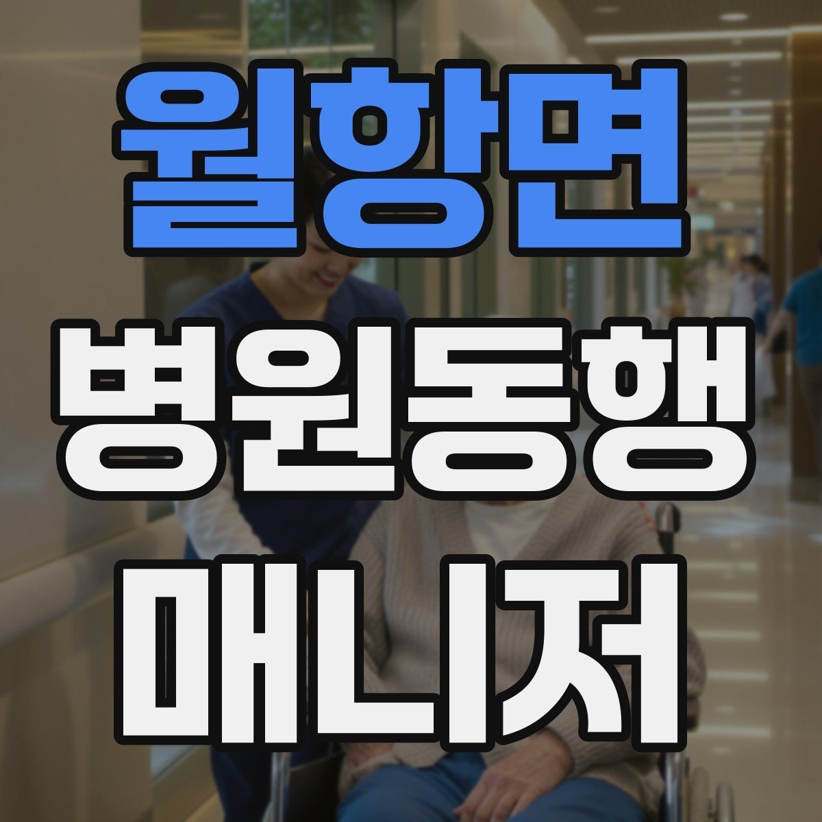 월항면 병원동행매니저 자격증 프로답게 보이는 준비 습관