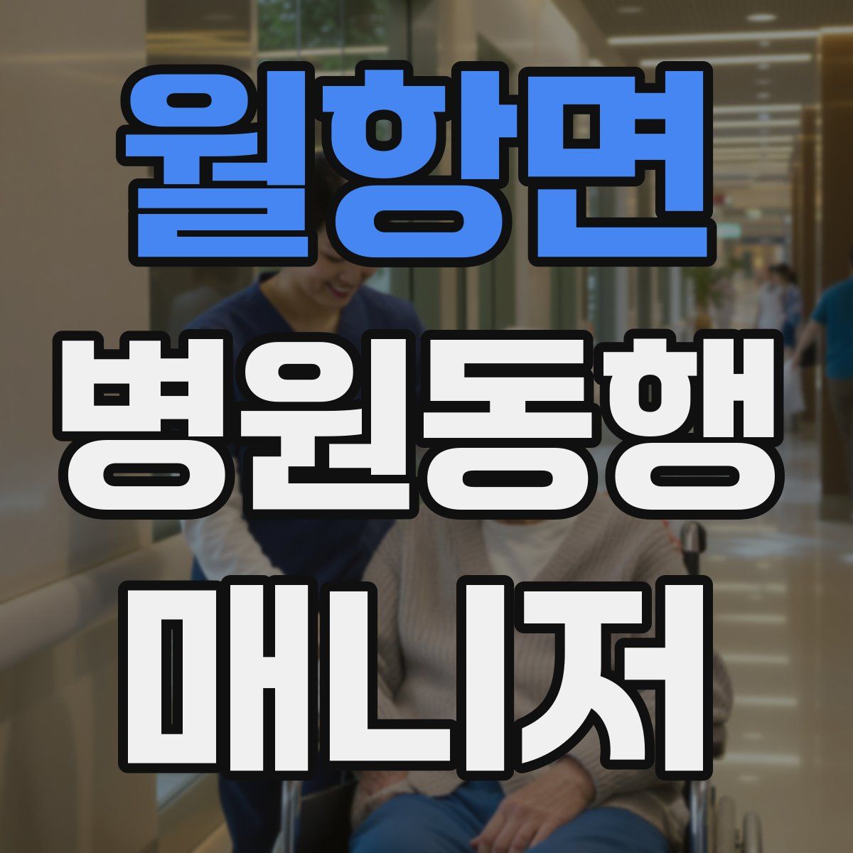 월항면 병원동행매니저 자격증