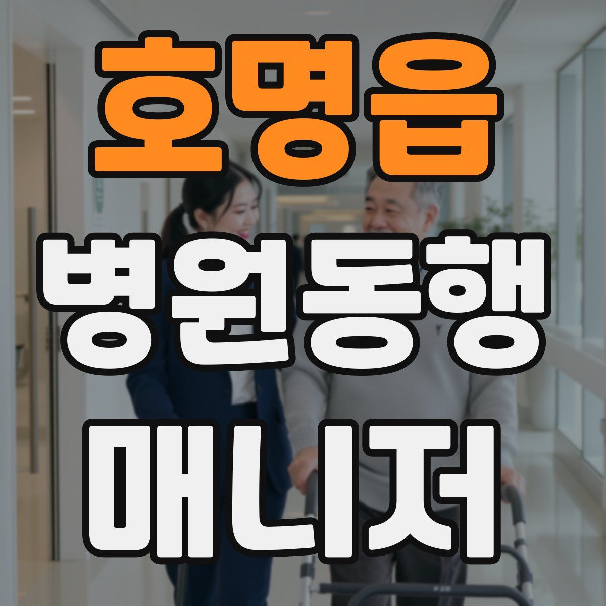 호명읍 병원동행매니저 자격증