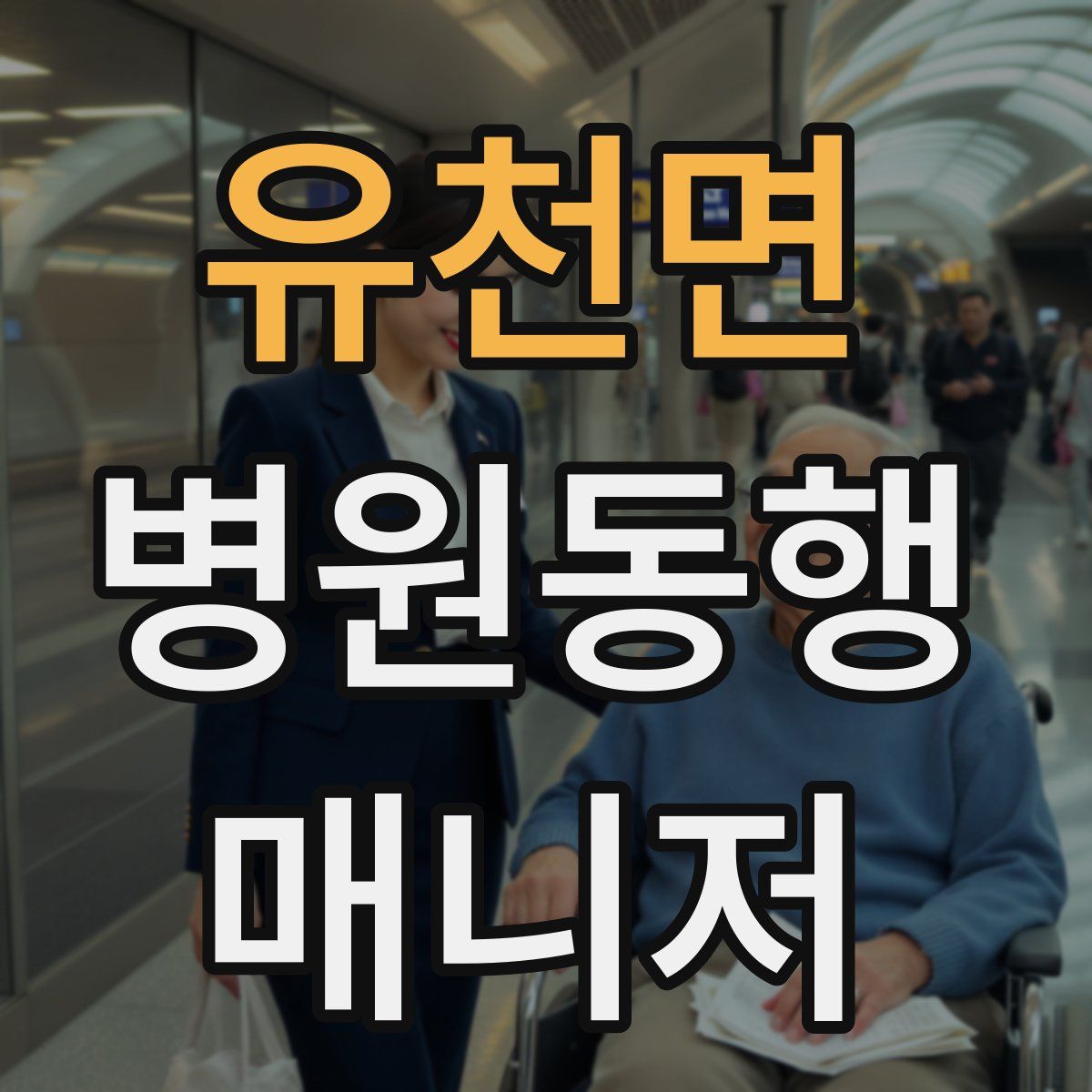 유천면 병원동행매니저 자격증