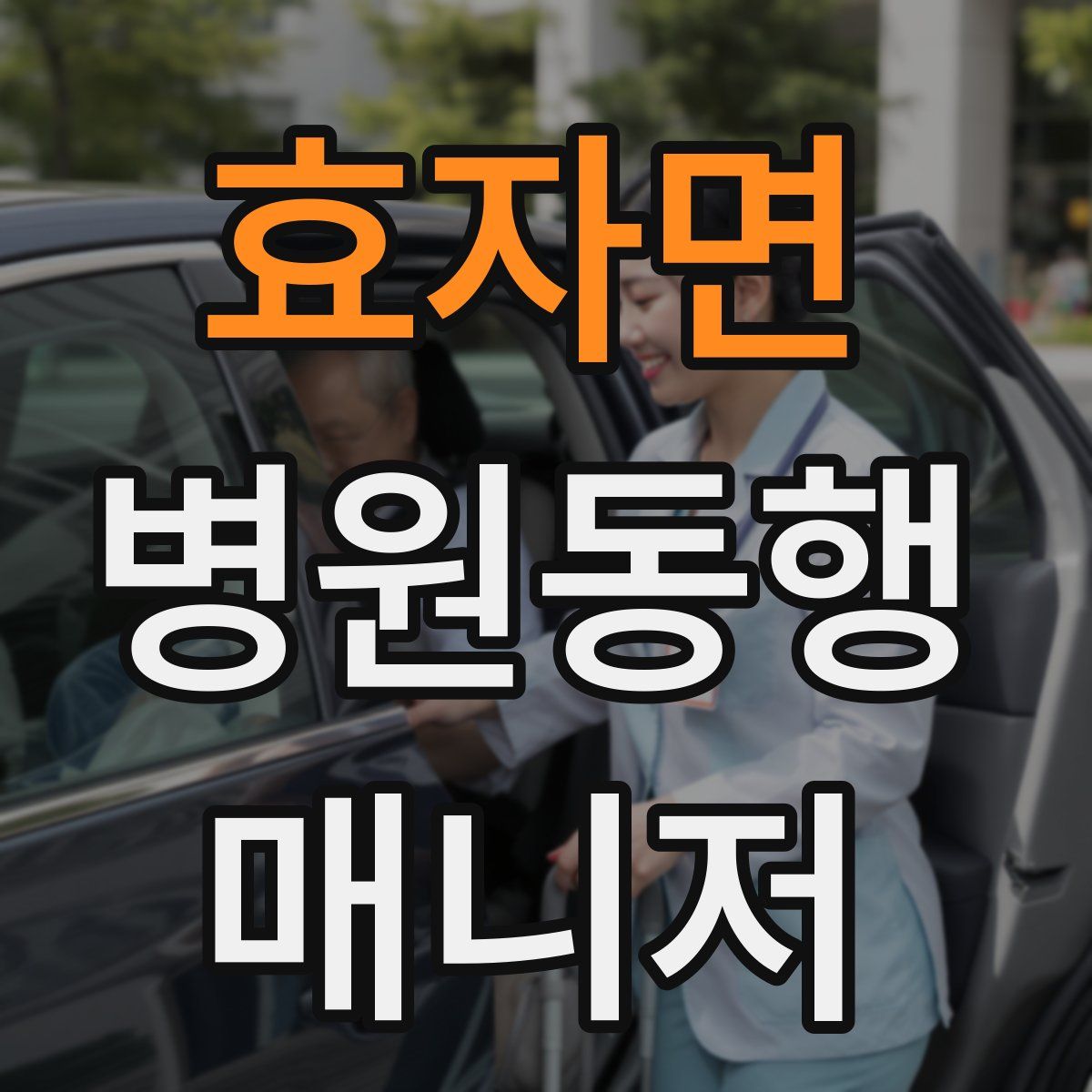 효자면 병원동행매니저 자격증