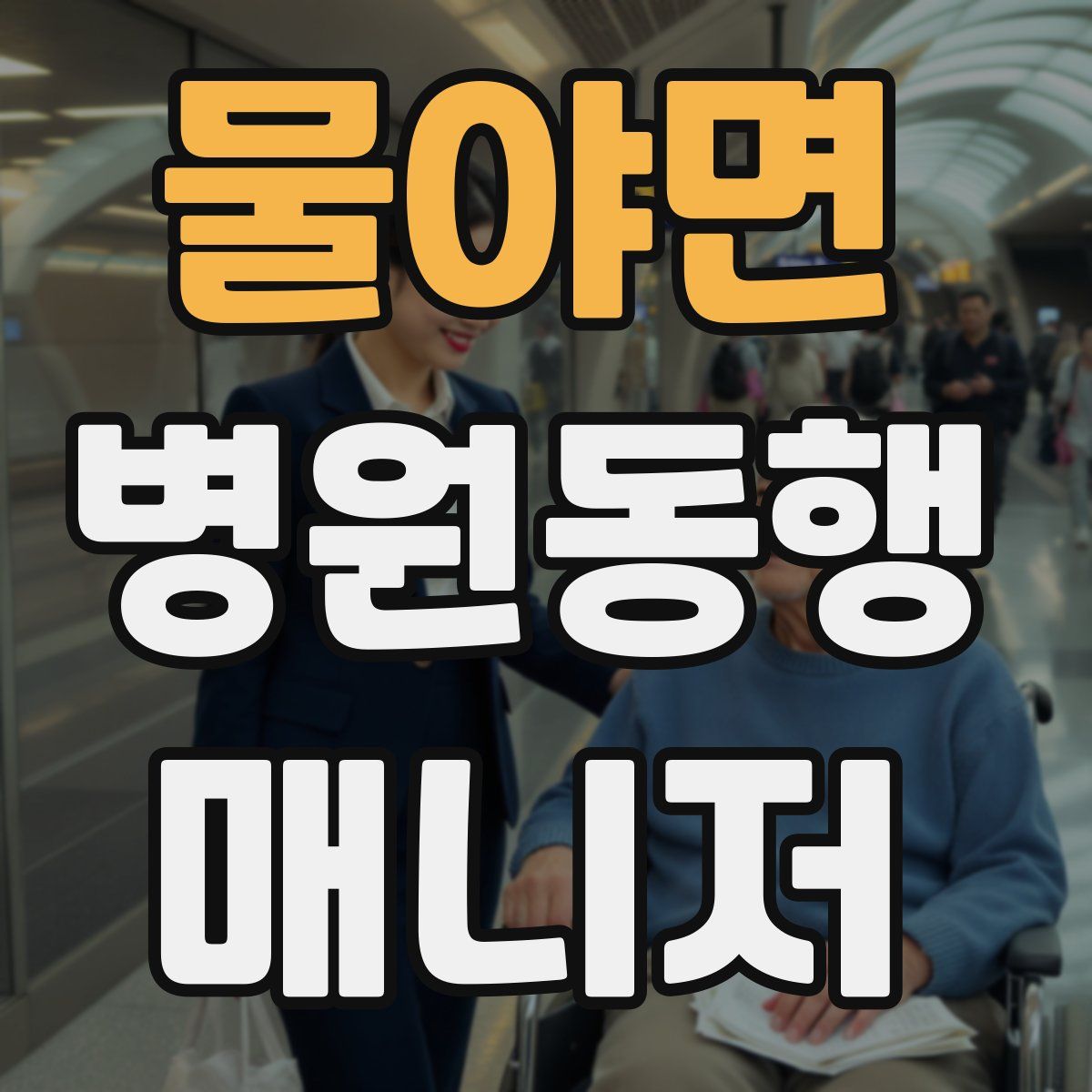 물야면 병원동행매니저 자격증