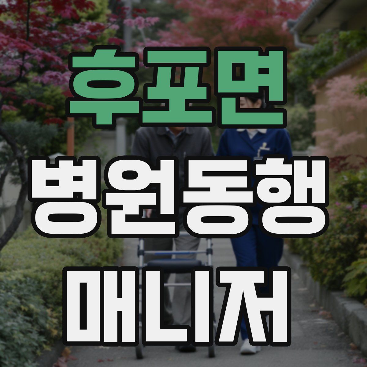 후포면 병원동행매니저 자격증