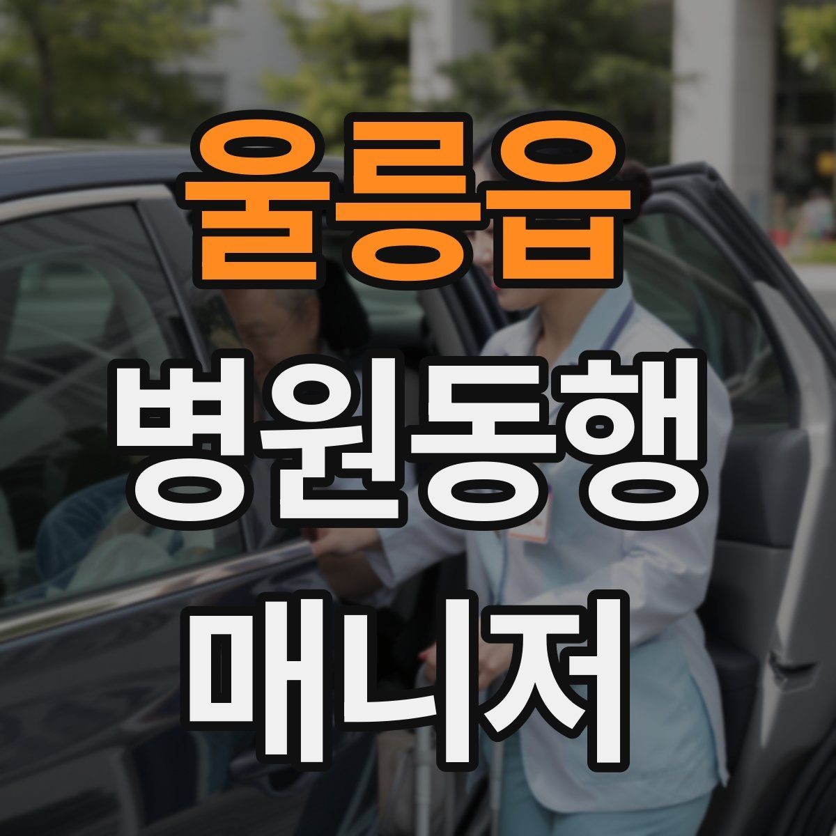 울릉읍 병원동행매니저 자격증 동행 범위 합의가 중요한 이유