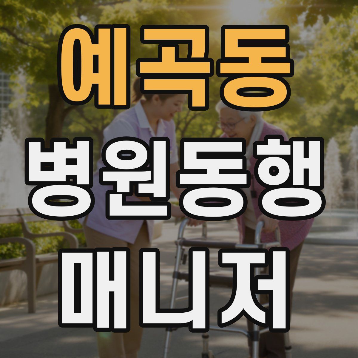 예곡동 병원동행매니저 자격증