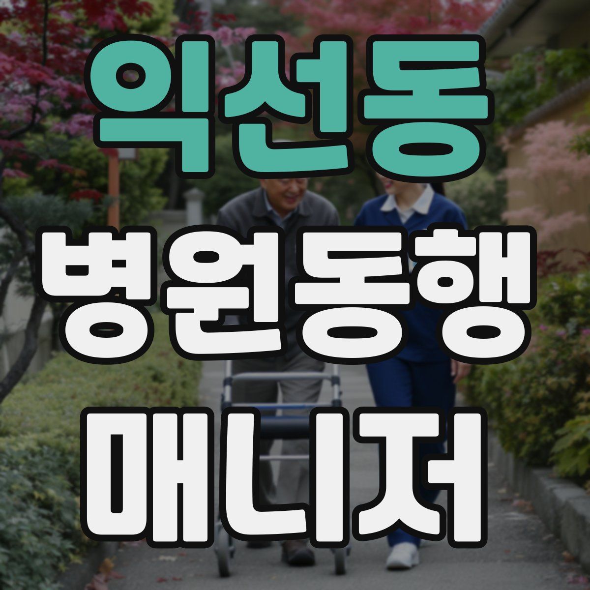 익선동 병원동행매니저 자격증