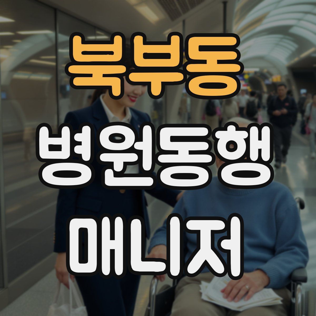 북부동 병원동행매니저 자격증