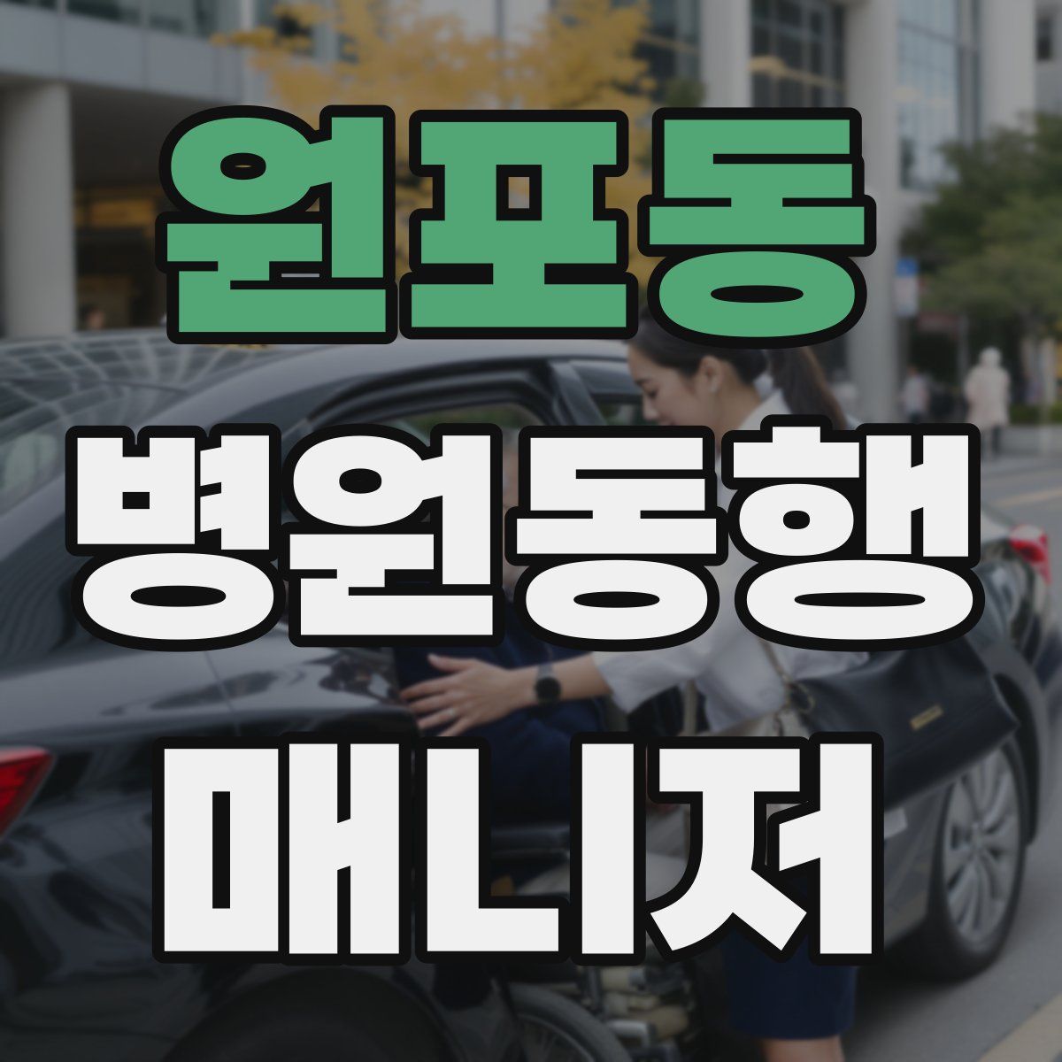 원포동 병원동행매니저 자격증