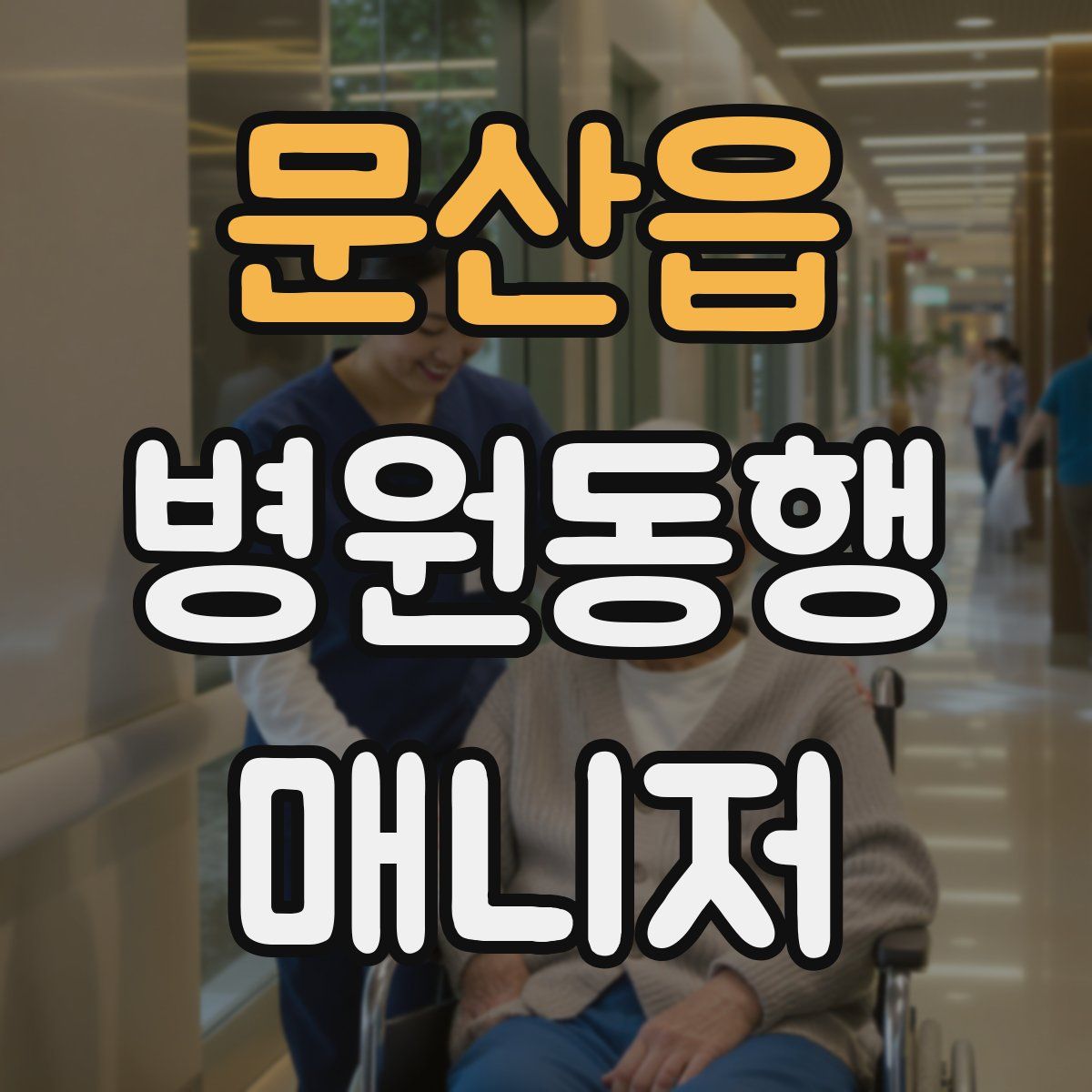 문산읍 병원동행매니저 자격증