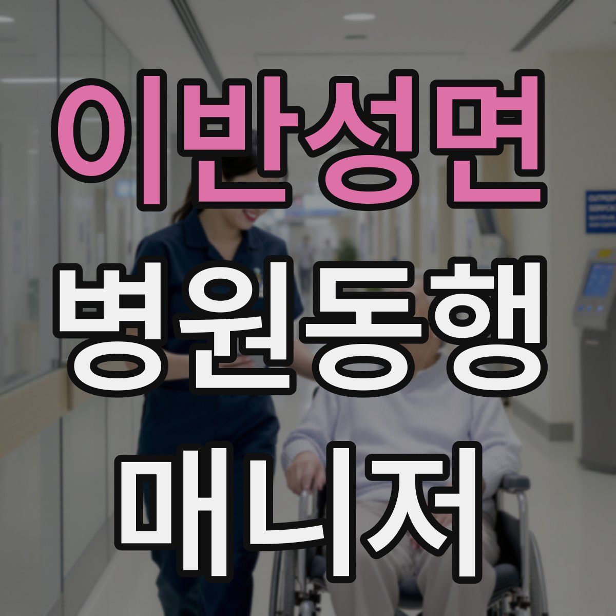 이반성면 병원동행매니저 자격증