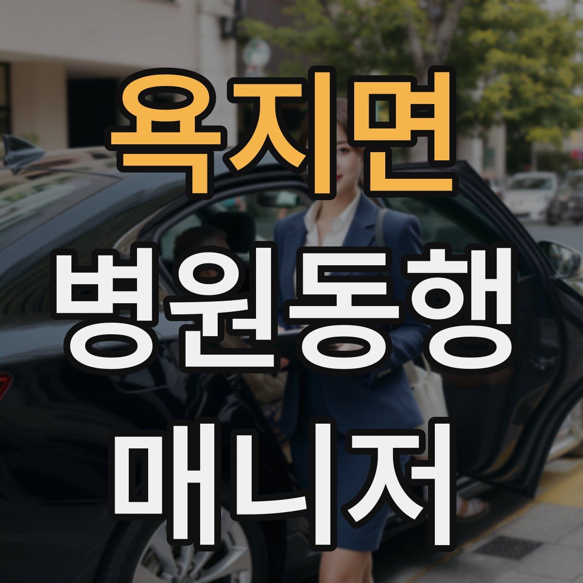 욕지면 병원동행매니저 자격증