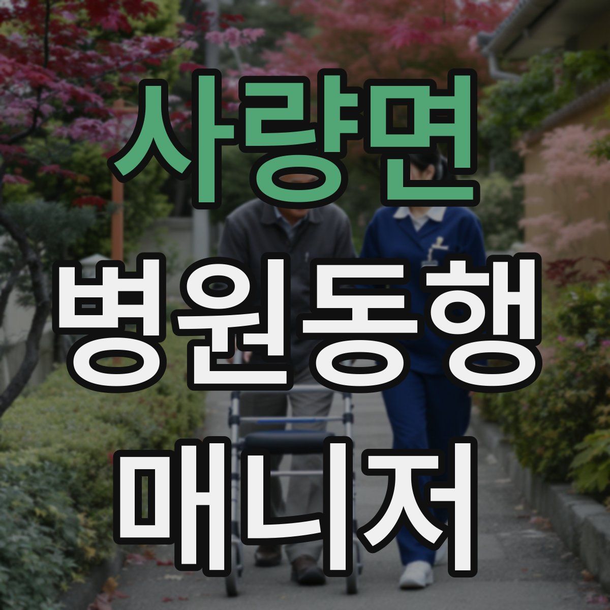 사량면 병원동행매니저 자격증