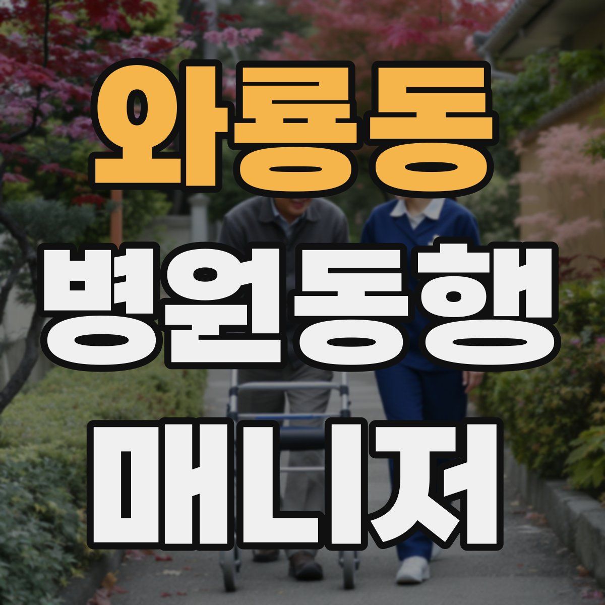 와룡동 병원동행매니저 자격증