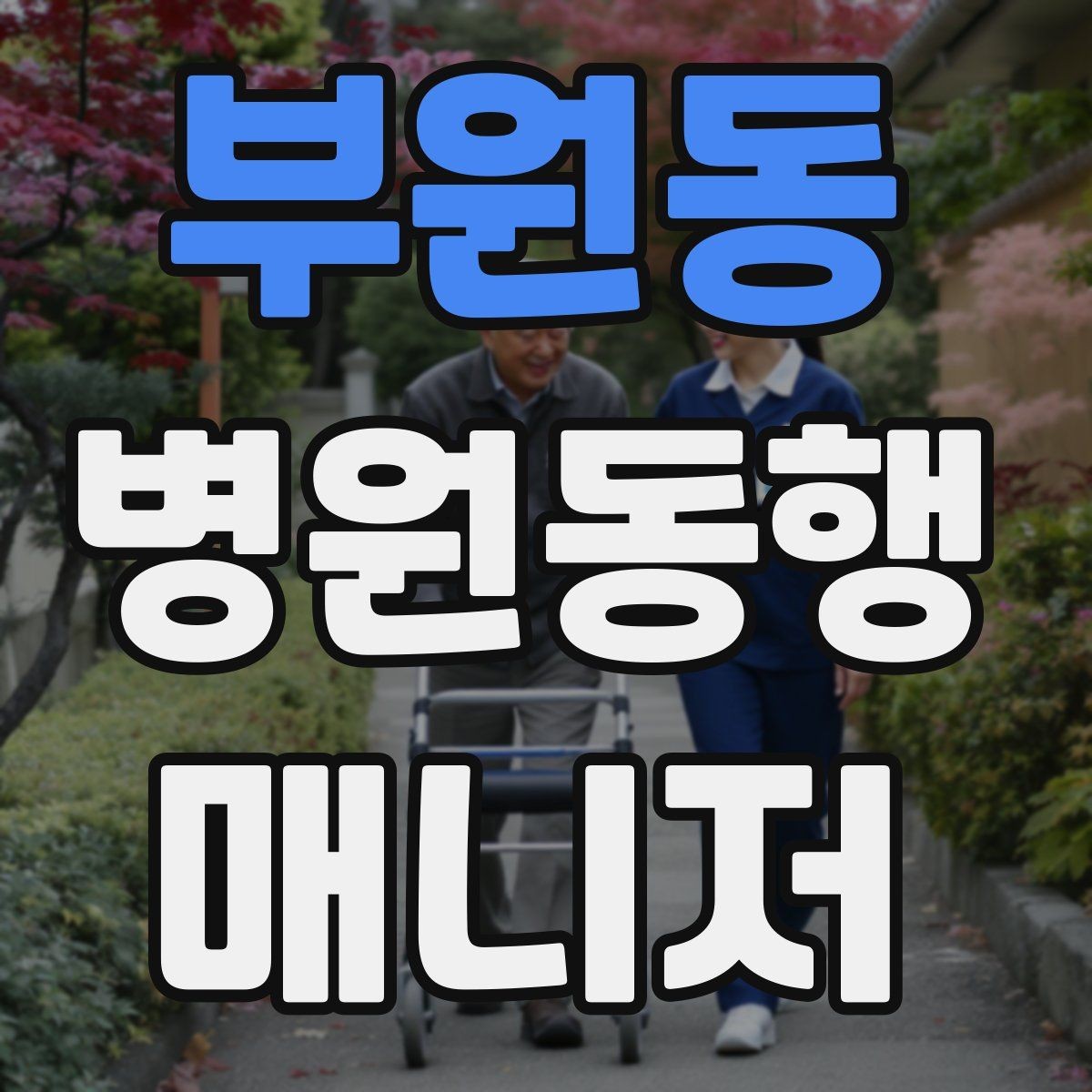 부원동 병원동행매니저 자격증 처방 약이 많을 때 확인해야 할 것
