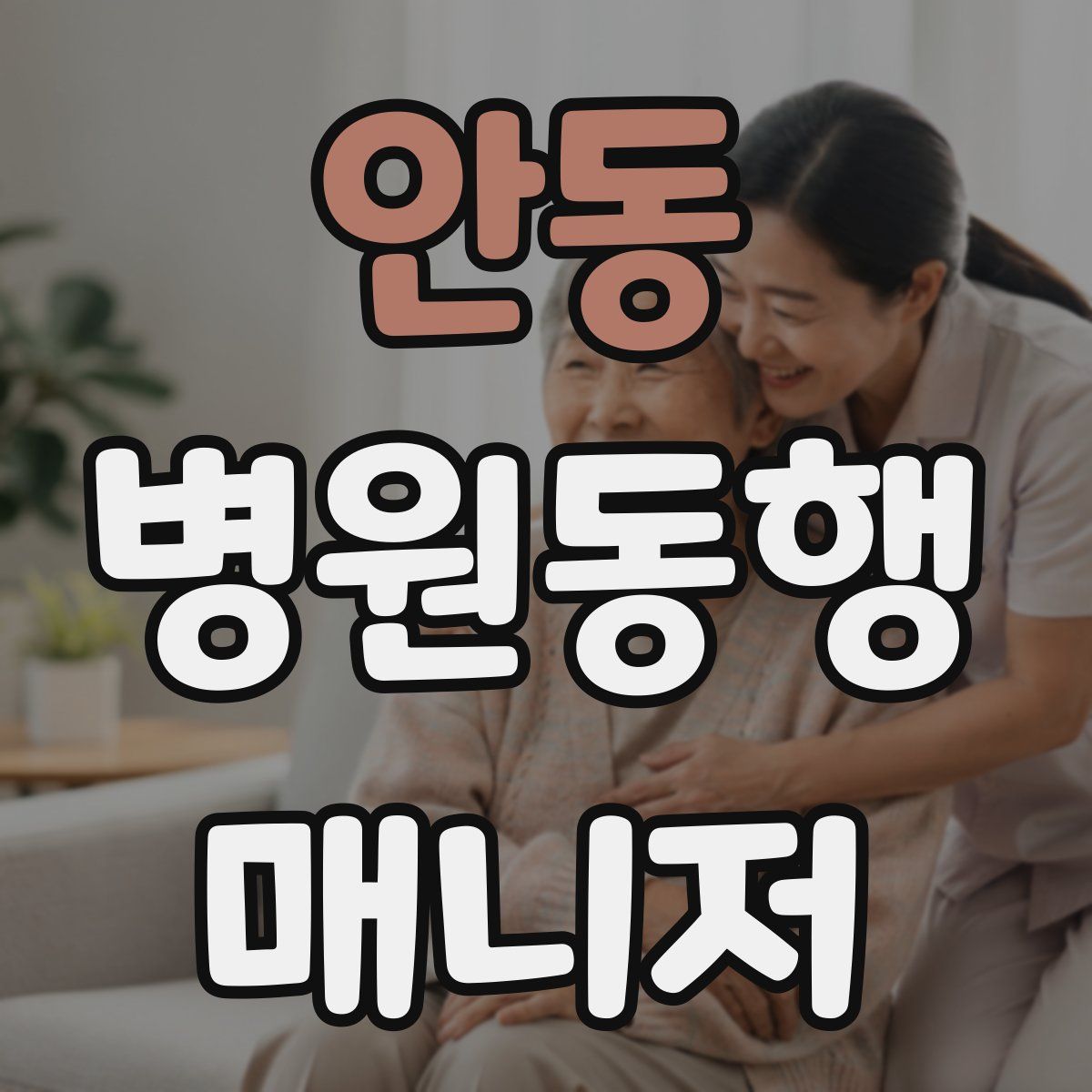 안동 병원동행매니저 자격증
