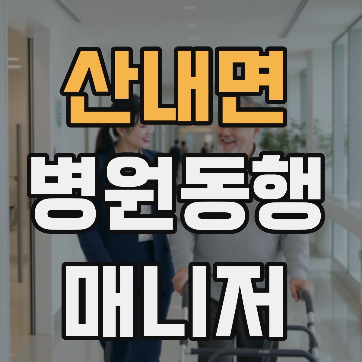 산내면 병원동행매니저 자격증