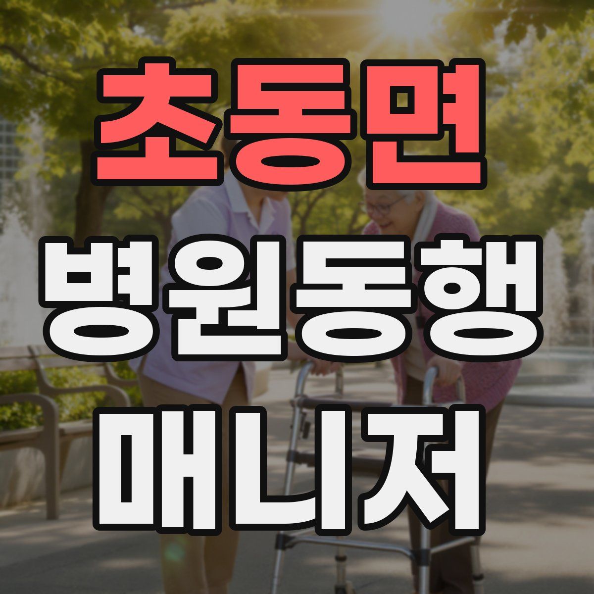 초동면 병원동행매니저 자격증